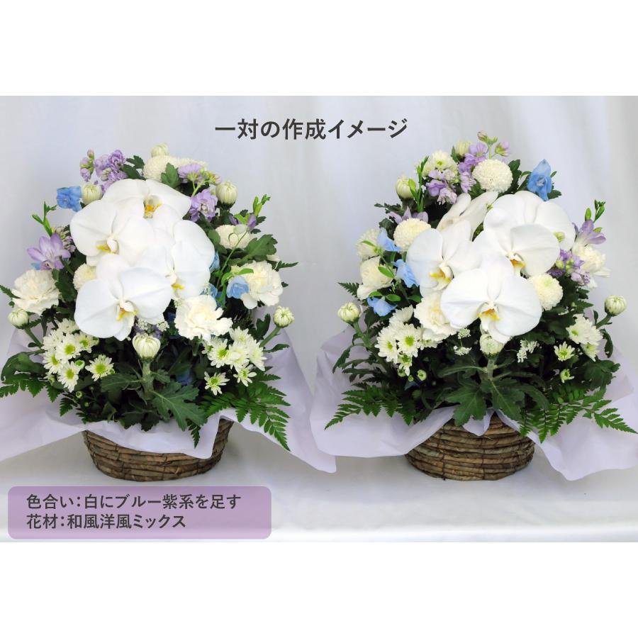 お供え 供花 仏壇 フラワーアレンジメント  生花  一周忌 命日 三回忌 四十九日 法事 法要 蘭のお供え花アレンジメント M | エーデルワイス花の贈り物 | 07