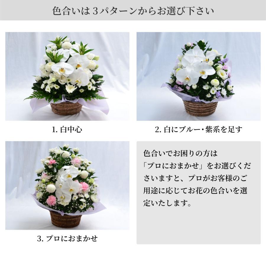 お供え 供花 仏壇 フラワーアレンジメント  生花 一周忌 命日 三回忌 四十九日 法事 法要 蘭のお供え花アレンジメント M | エーデルワイス花の贈り物 | 07