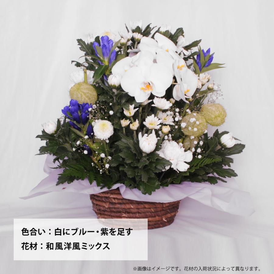 お供え 供花 仏壇 フラワーアレンジメント  生花  一周忌 命日 三回忌 四十九日 法事 法要 蘭のお供え花アレンジメント M | エーデルワイス花の贈り物 | 08