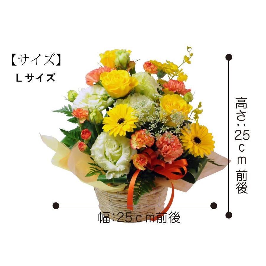 花 ギフト 退院祝い お見舞い プレゼント アレンジメント お祝い 女性 代 30代 40代 男性 おしゃれ フラワーギフト 贈る あすつく 即日発送 アリスイエロー Ar Aliceyer 花束ギフト花工房 誕生日翌日配達 通販 Yahoo ショッピング