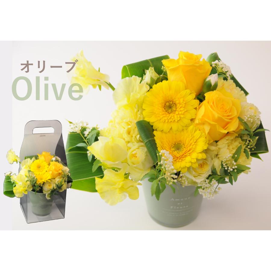 エーデルワイス花の贈り物 誕生日 プレゼント 花 記念日 ギフト