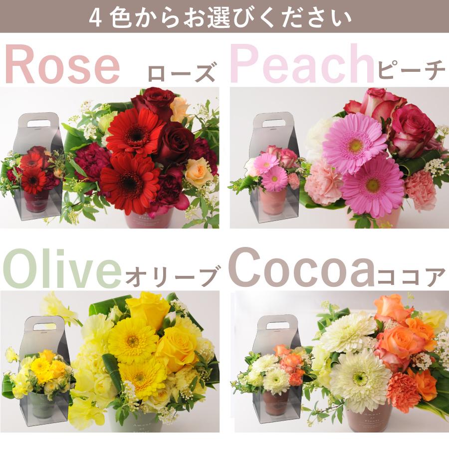 エーデルワイス花の贈り物 爆買 敬老の日 誕生日 プレゼント 花 記念日
