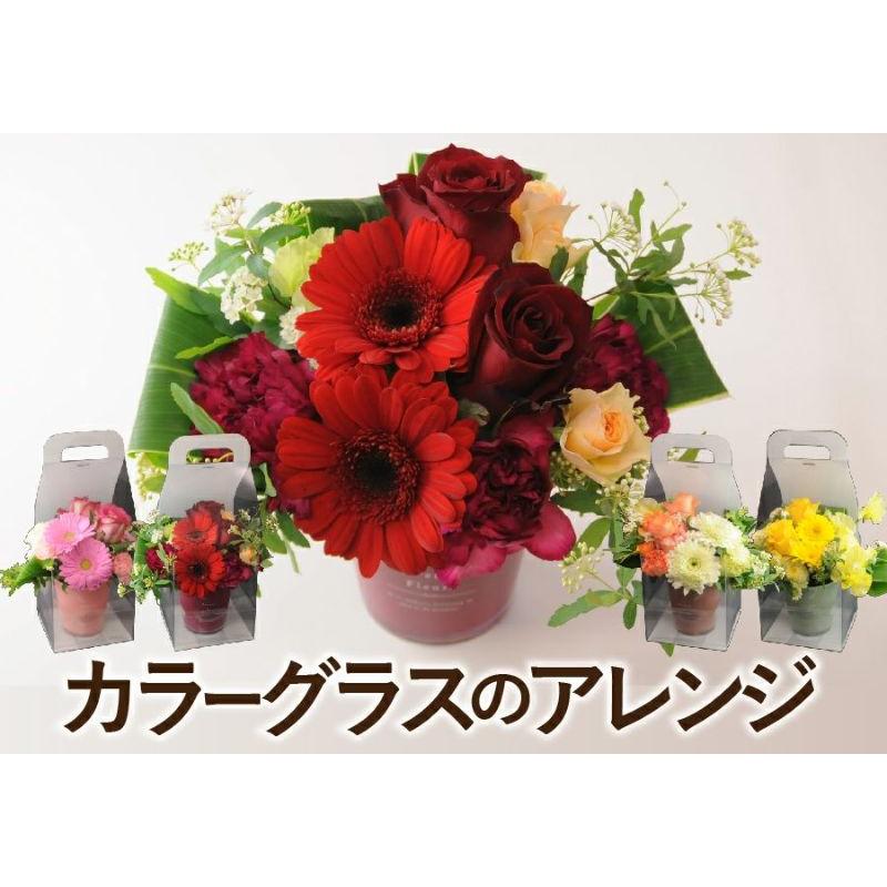 エーデルワイス花の贈り物 誕生日 プレゼント 花 記念日 ギフト