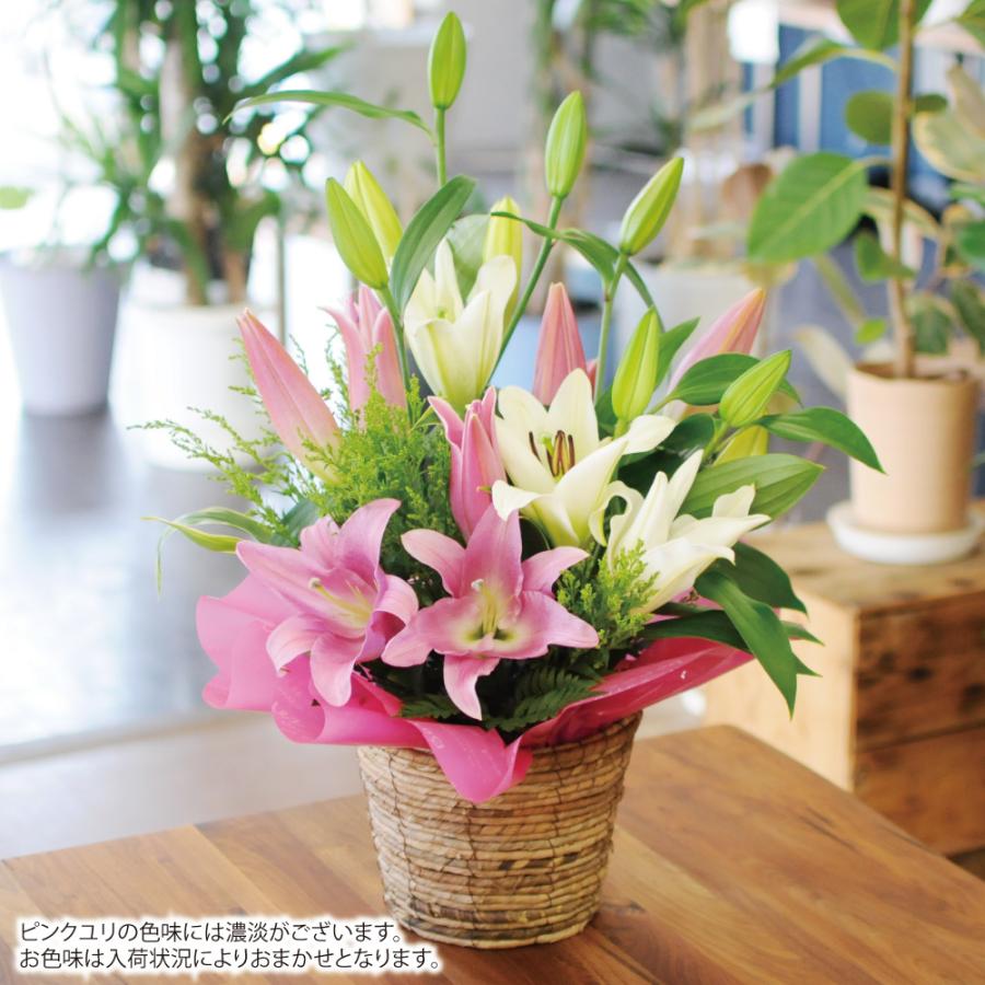 エーデルワイス花の贈り物 花 ユリ ギフト 生花 百合 ピンク