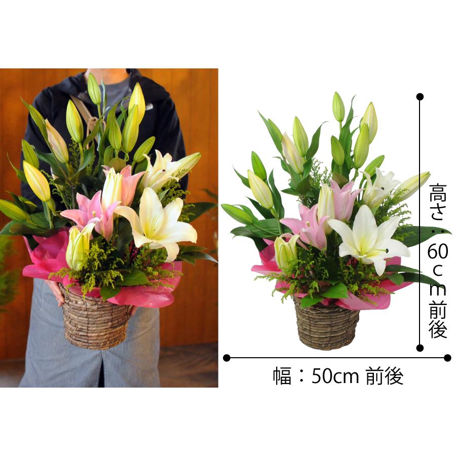 エーデルワイス花の贈り物 花 ユリ ギフト 生花 百合 ピンク