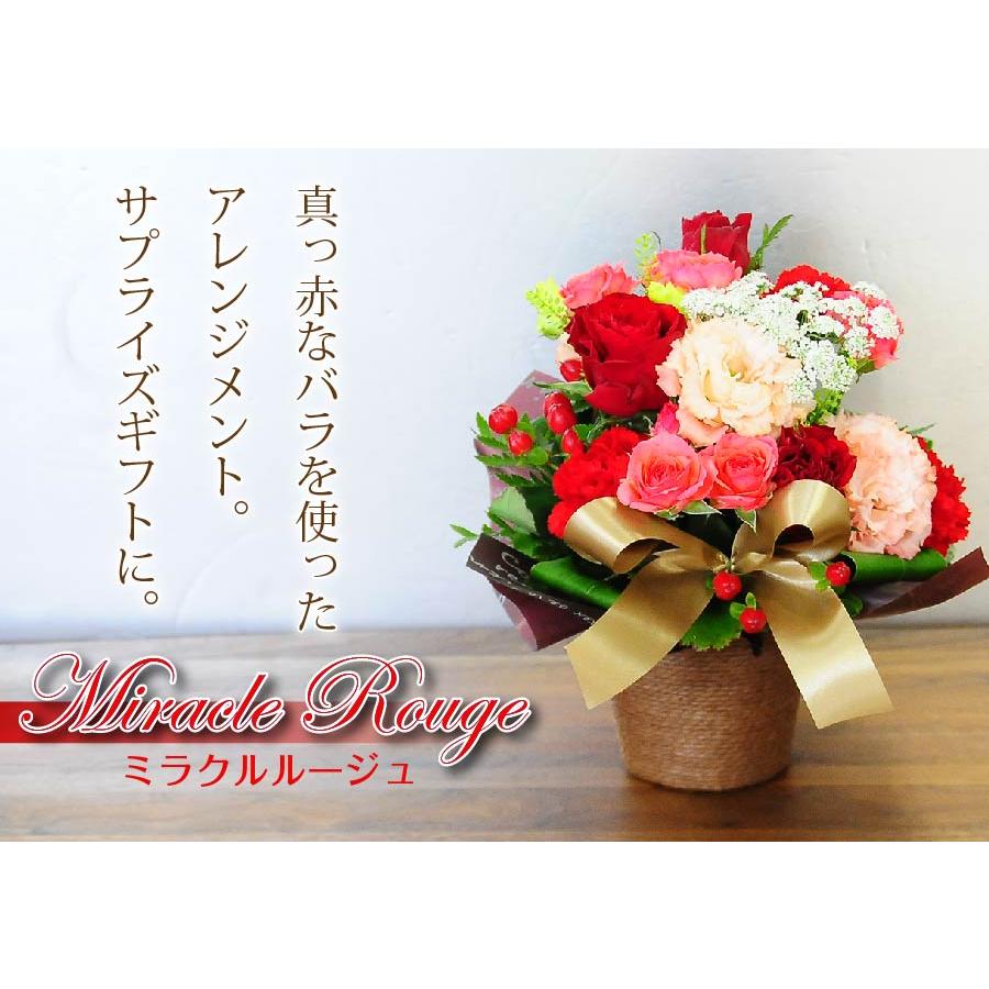 エーデルワイス花の贈り物 花とビール 誕生日 成人 お祝い 就職祝い 花
