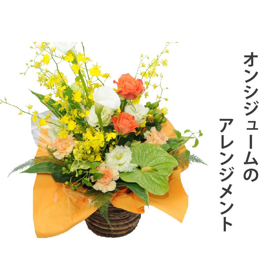 エーデルワイス花の贈り物 誕生日 プレゼント 花 記念日 フラワー