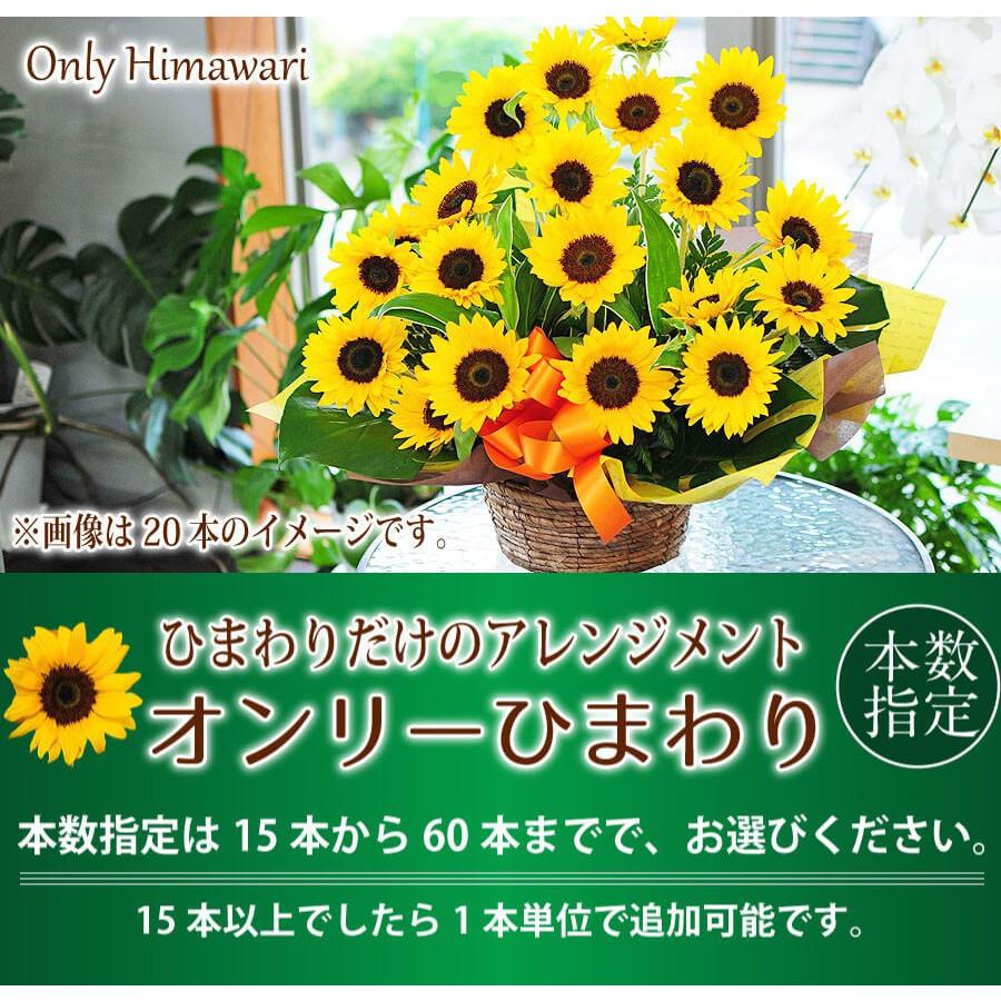 ひまわり アレンジメント 誕生日プレゼント 退院祝い 花 お見舞い 花 お中元ギフト お中元 花 送料無料 花ギフト 宅配 10本以上からご注文可能 オンリーひまわり Ar Onlysunf 花束ギフト花工房 誕生日翌日配達 通販 Yahoo ショッピング