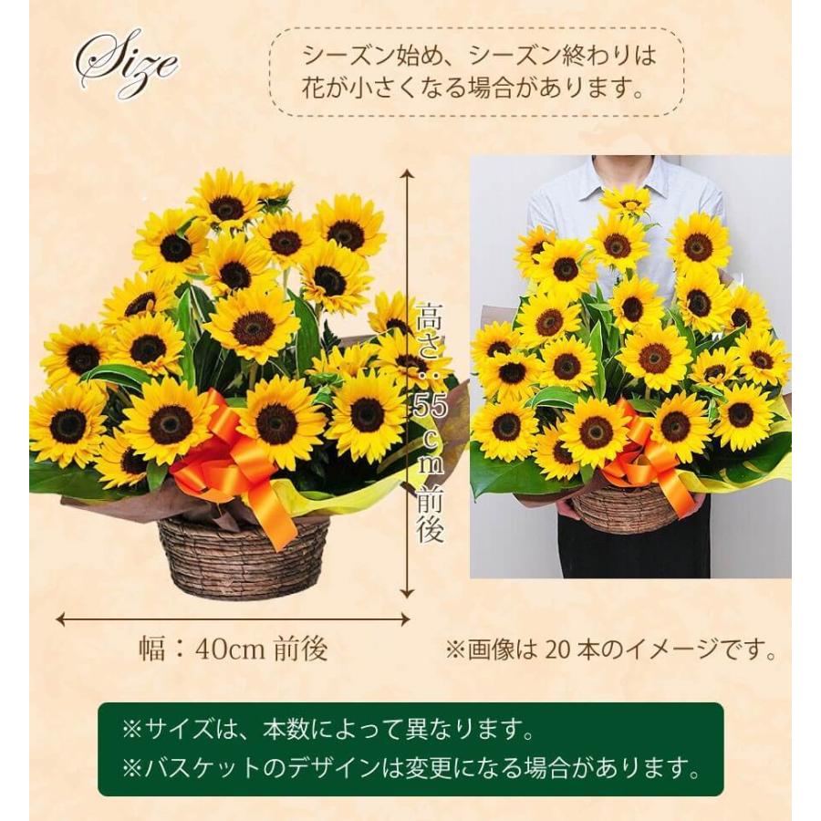 ひまわり アレンジメント 誕生日プレゼント 退院祝い 花 お見舞い 花 お中元ギフト お中元 花 送料無料 花ギフト 宅配 10本以上からご注文可能 オンリーひまわり Ar Onlysunf 花束ギフト花工房 誕生日翌日配達 通販 Yahoo ショッピング
