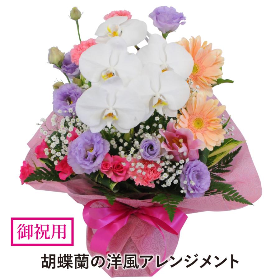 爆買 誕生日 プレゼント 花 記念日 生花 転勤 退職祝 昇進祝 昇格 栄転祝 就任祝 花 お祝い用 胡蝶蘭の洋風アレンジメントMサイズ 翌日 明日 急ぎ 明日着 配送 | エーデルワイス花の贈り物