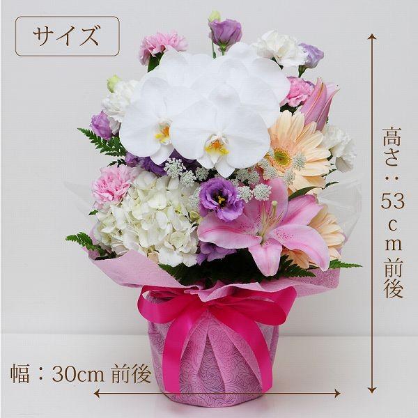 転勤花 退職花 昇進花 昇格花 栄転花 就任祝い花 花 お祝い用 胡蝶蘭の洋風アレンジメント アレンジメント Ar Phalae 花束ギフト花工房 誕生日翌日配達 通販 Yahoo ショッピング