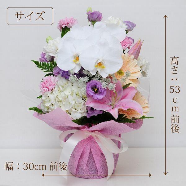 お供え 花 お悔やみ 花 お彼岸 お供え 贈り物 お供え お悔やみ 花 供花 仏花 お悔やみ 花 ギフト 胡蝶蘭の洋風アレンジメント 四十九日 命日 一周忌 法要 法事 Ar Phalaeoso 花束ギフト花工房 誕生日翌日配達 通販 Yahoo ショッピング