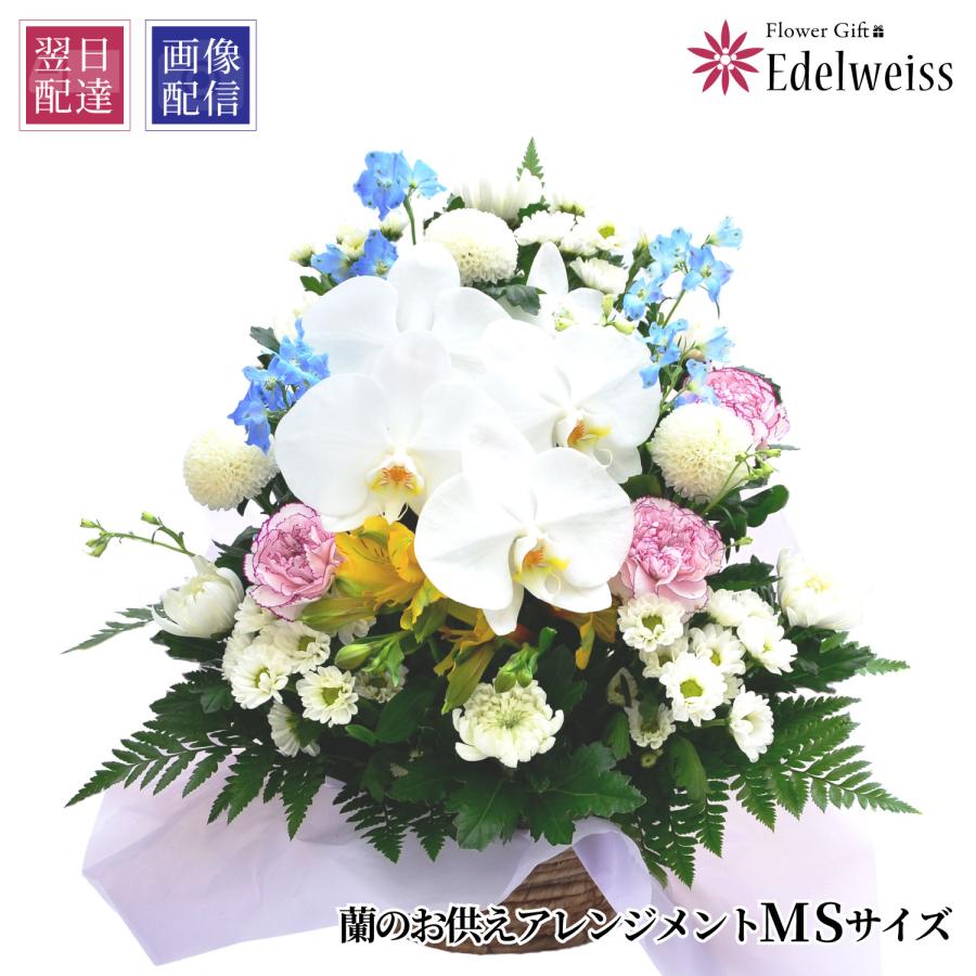 エーデルワイス花の贈り物 春のお彼岸 お供え お悔やみ 花 命日 四十九