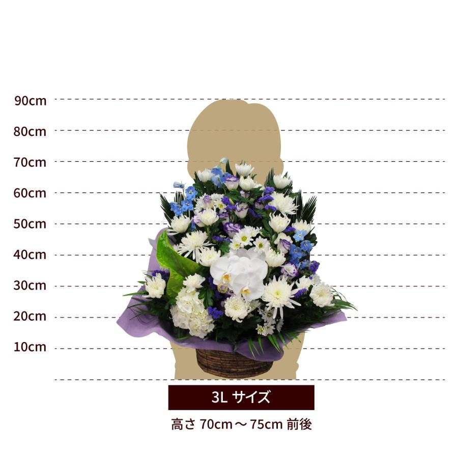 エーデルワイス花の贈り物 春のお彼岸 お供え お悔やみ 花 命日 四十九