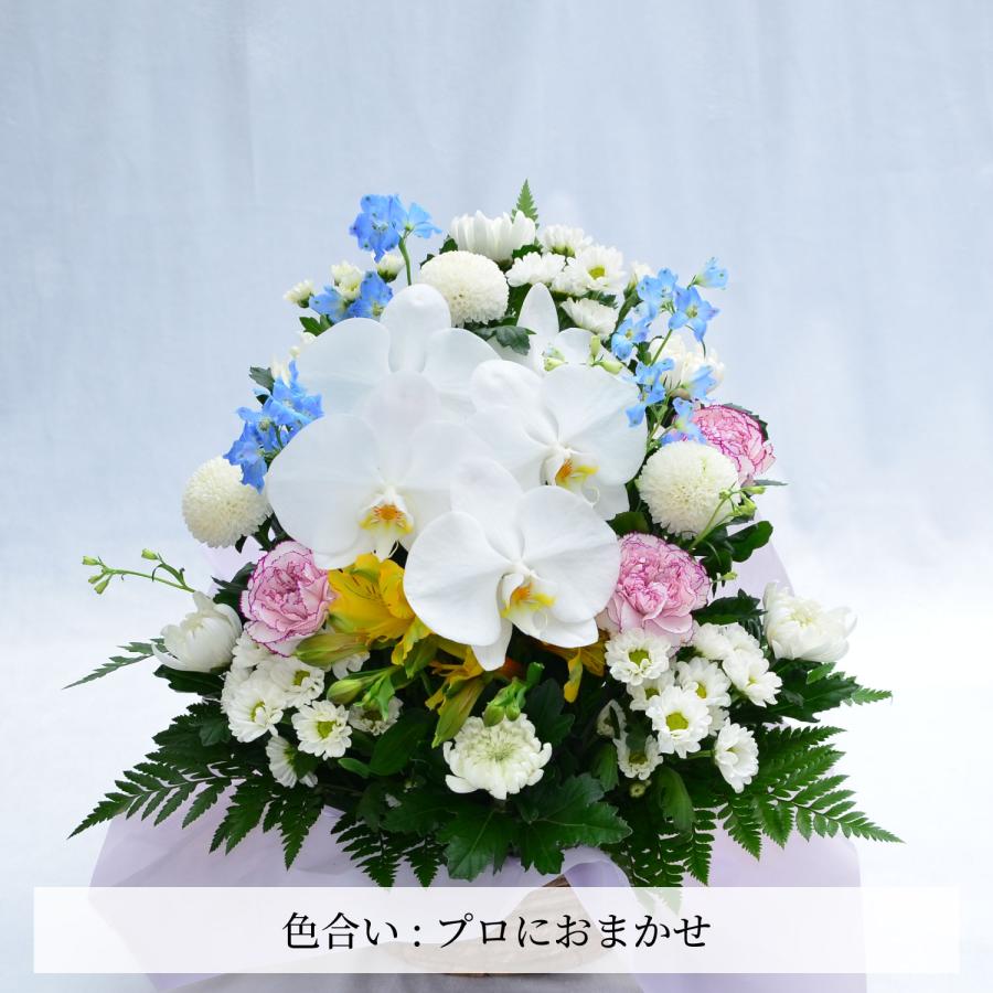 エーデルワイス花の贈り物 春のお彼岸 お供え お悔やみ 花 命日 四十九