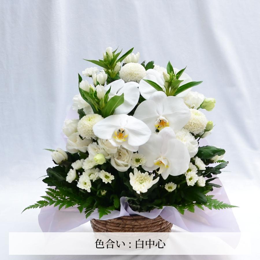 エーデルワイス花の贈り物 春のお彼岸 お供え お悔やみ 花 命日 四十九