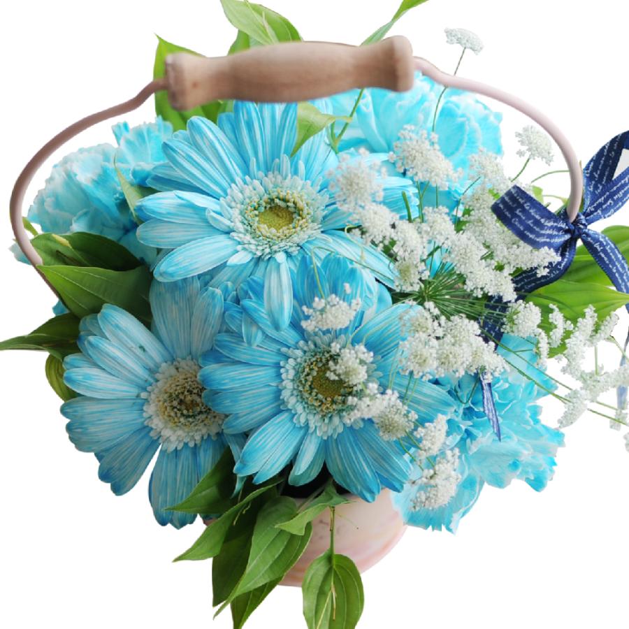 エーデルワイス花の贈り物 誕生日 プレゼント 花 アレンジメント
