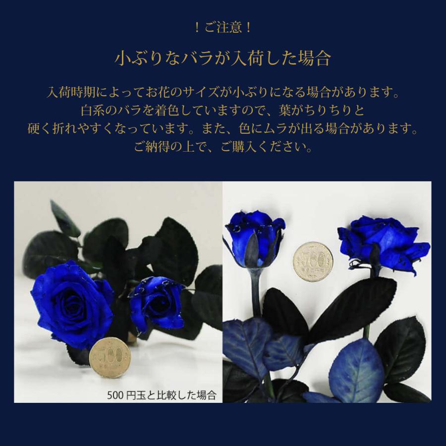 エーデルワイス花の贈り物 卒業祝 入学祝 就職祝 退職祝 プレゼント