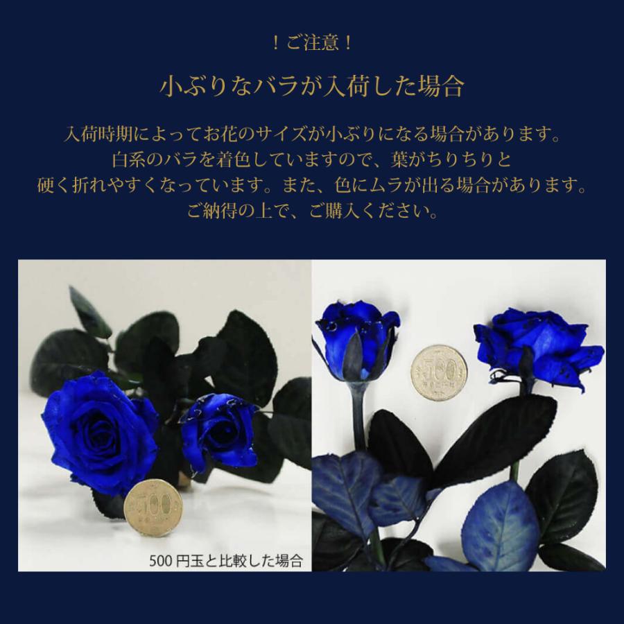 エーデルワイス花の贈り物 父の日 花 ギフト 誕生日プレゼント 記念日