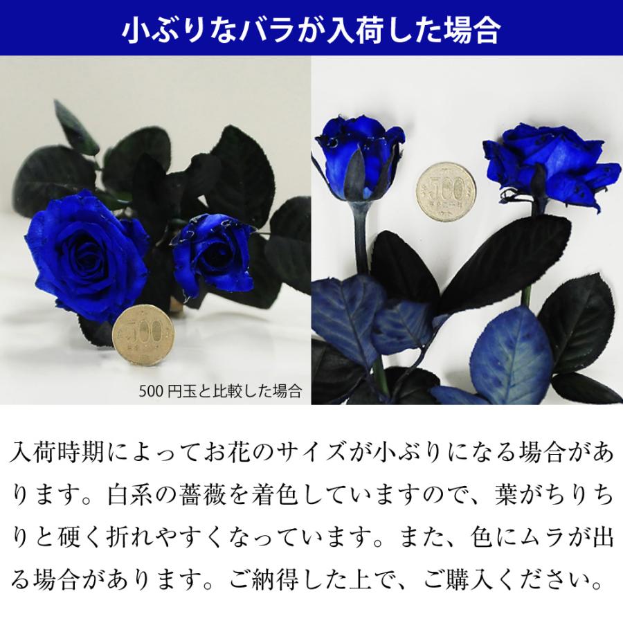 エーデルワイス花の贈り物 花 ギフト 誕生日 プレゼント 記念日