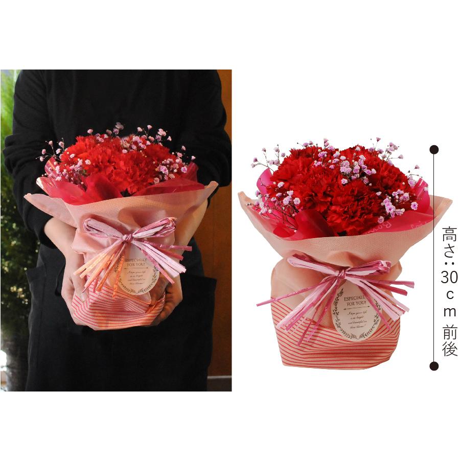 エーデルワイス花の贈り物 ギフト カーネーション ははの日 2025 誕生