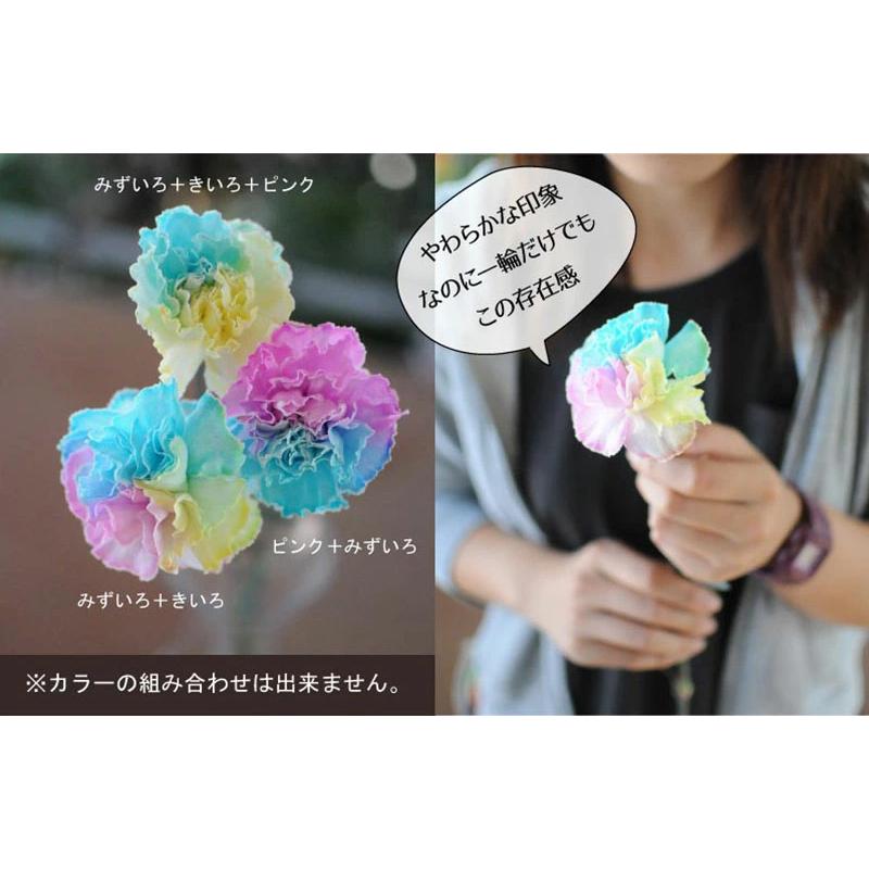 エーデルワイス花の贈り物 爆買 誕生日花束 カーネーション そのまま