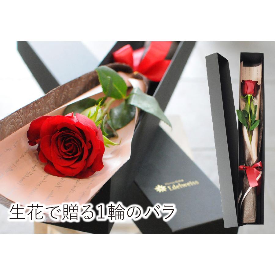 エーデルワイス花の贈り物 プロポーズ 花束 プレゼント 誕生日 花 記念