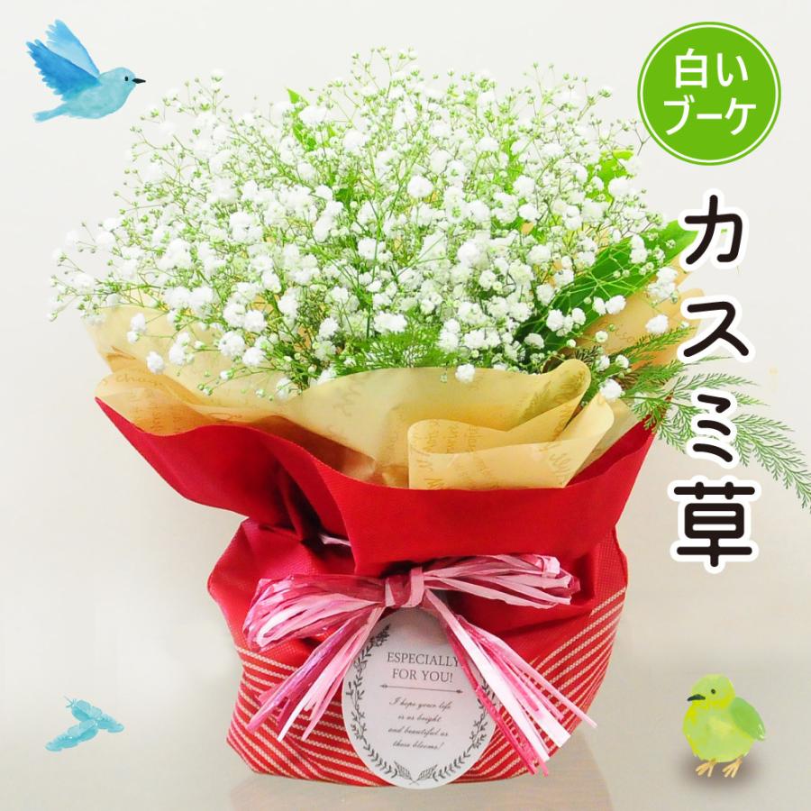 1644円 世界的に お祝い 誕生日 花ギフト プレゼント 花束 お誕生日 花 そのまま飾れる不思議なブーケとワインのセット