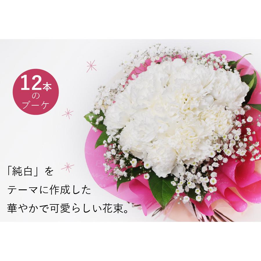 エーデルワイス花の贈り物 母の日 ギフト 白いカーネーション そのまま