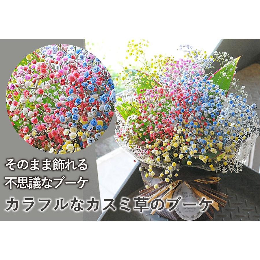 エーデルワイス花の贈り物 母の日 2026 花 ギフト レインボーかすみ草