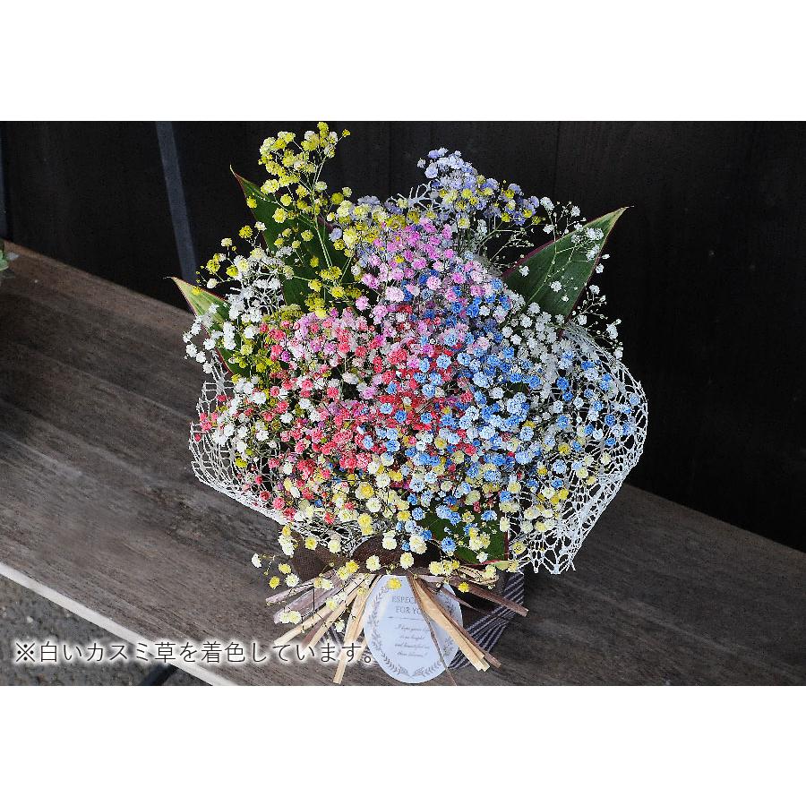 エーデルワイス花の贈り物 母の日 2026 花 ギフト レインボーかすみ草