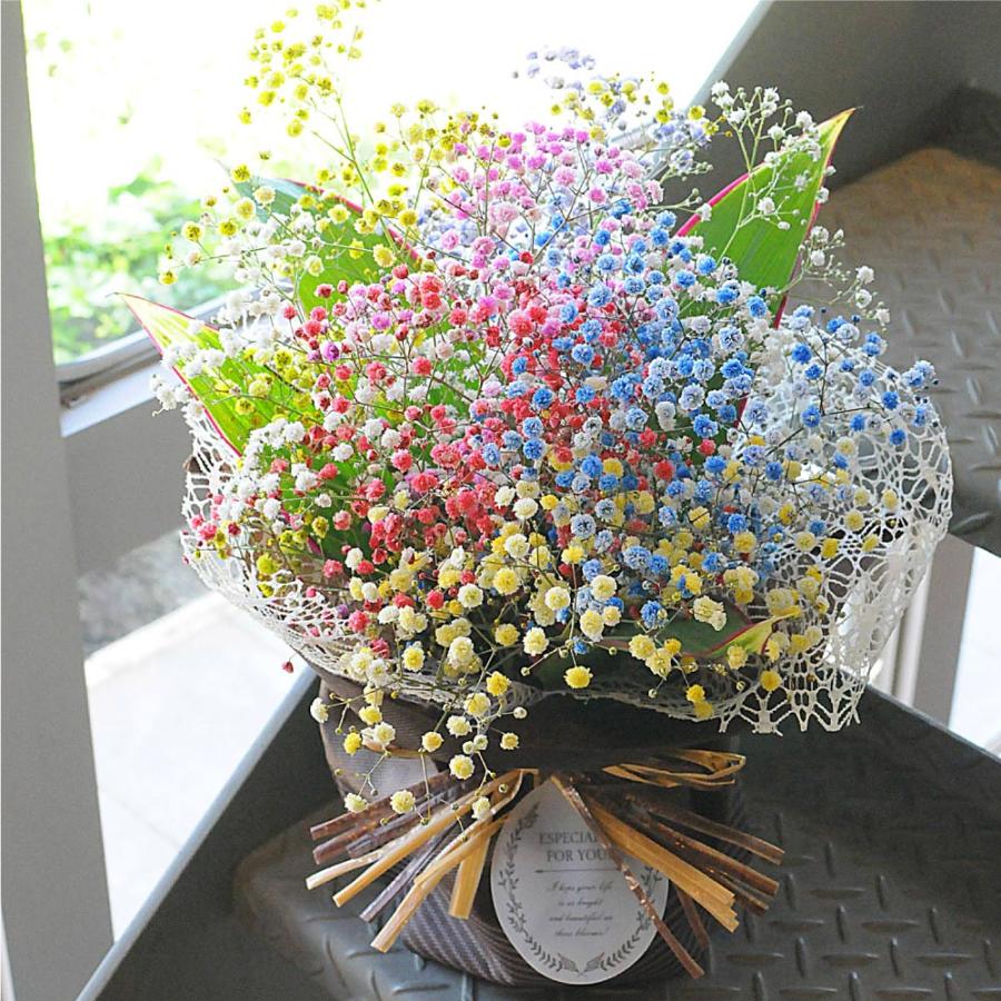 エーデルワイス花の贈り物 母の日 2026 花 ギフト レインボーかすみ草