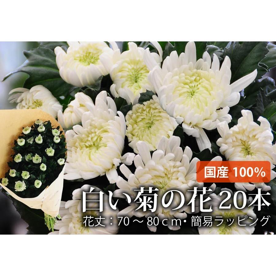 お供え花 供花 お供え お悔やみ 仏花 供花 花束 宅配 送料無料 墓参り 仏壇 花 命日 初七日 年忌法要 一周忌 三回忌 法事法要 白い菊の花束 本 Bq Wkiku 花束ギフト花工房 誕生日翌日配達 通販 Yahoo ショッピング
