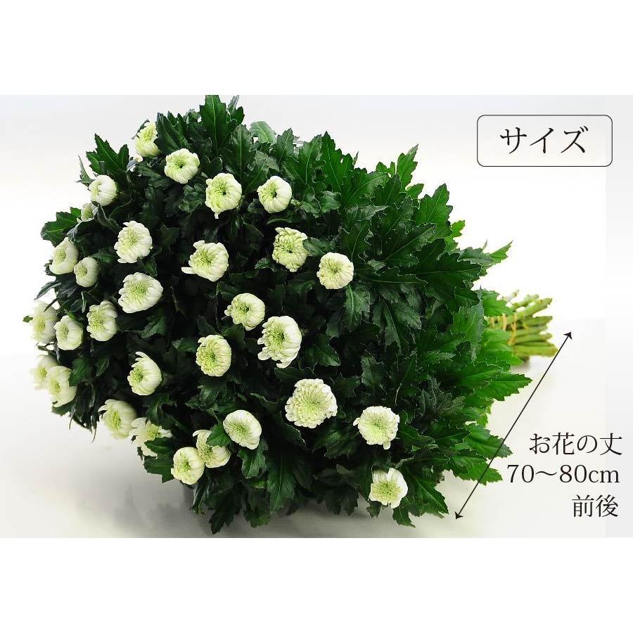 女の子向けプレゼント集結 送料無料 宅配 花束 お供え 供花 仏花 お悔やみ お供え 一周忌 四十九日 墓参り 命日 仏花 お盆 お悔やみ お供え 墓参り 30本 白い菊の花束 四十九日 法事法要 三回忌 一周忌 年忌法要 初七日 命日 お悔やみ 仏花 花束 生花