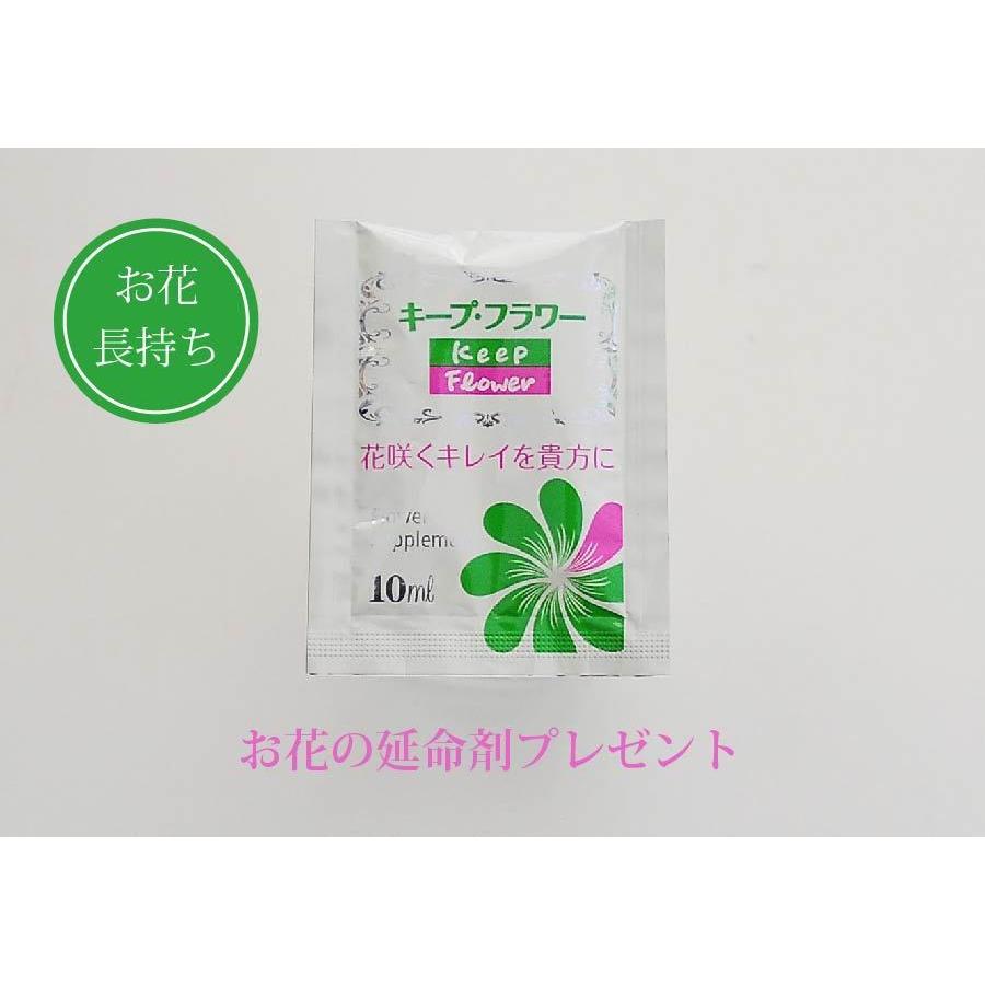 お供え 花 贈る  供花 お悔やみ 仏花 花束 宅配 送料無料 墓参り 仏壇 花 命日 初七日 年忌法要 一周忌 三回忌 法事法要 白い菊の花束 30本｜flower｜06