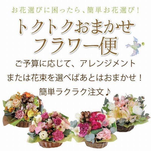 花 ギフト 転勤花 退職花 昇進花 昇格花 栄転花 就任祝い花 プレゼント 花 オーダー メイドで注文 おまかせフラワー便 大きなサイズ 誕生日 結婚記念日 お見舞い Flowerbin Big 花束ギフト花工房 誕生日翌日配達 通販 Yahoo ショッピング