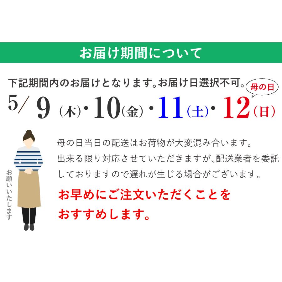 遅れてごめんね 母の日 花 ギフト 誕生日 お祝い プレゼント 花 ブーゲンビレア 色が選べるブーゲンビリアの鉢植え 5号鉢｜flower｜14