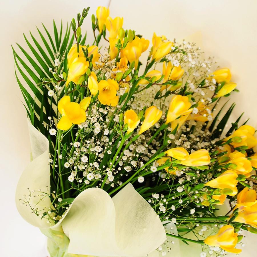 卒業祝 入学祝 就職祝 退職祝 花束 プレゼント 誕生日 花 フリージア