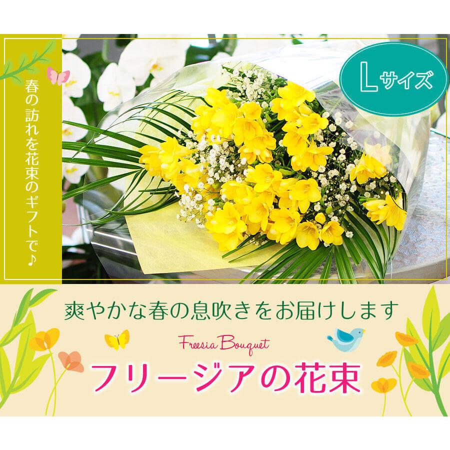 フリージア 花束 ホワイトデー 花束 ホワイトデー お返し 彼女 卒業祝い花束 誕生日プレゼント 女性 送別花束 フリージアの花束 Lサイズ Freesia L 花束ギフト花工房 誕生日翌日配達 通販 Yahoo ショッピング