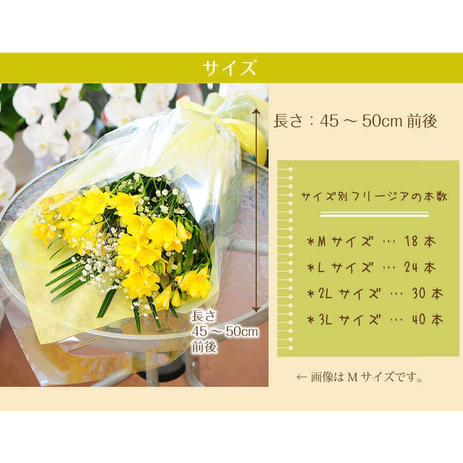 フリージア 花束 ホワイトデー お返し ギフト 入学 卒業 誕生日プレゼント 女性 男性 10代 代 30代 40代 送別花束 フリージアの花束 Mサイズ