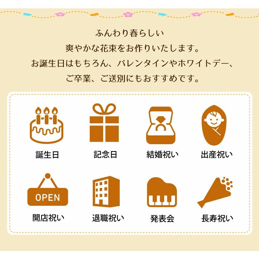 バレンタイン 花 誕生日 花ギフト　春  プレゼント 花 花束  卒業式 卒園式 フリージア 花束 誕生日 記念日  結婚記念日 フリージアの花束 Mサイズ | エーデルワイス花の贈り物 | 07