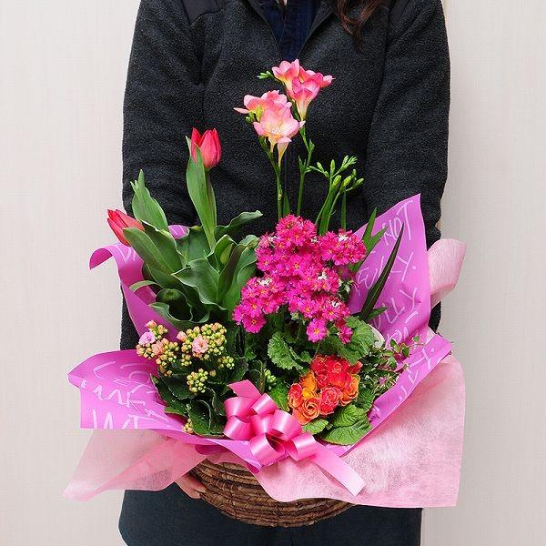 鉢植え 花 誕生日プレゼント 女性 お祝い 花 入学式 卒園式 卒業 卒園 花 寄せ植え 誕生日 記念日 退職 送別 歓送迎 花 春の寄せ鉢ミックス Lサイズ Hachispringl 花束ギフト花工房 誕生日翌日配達 通販 Yahoo ショッピング