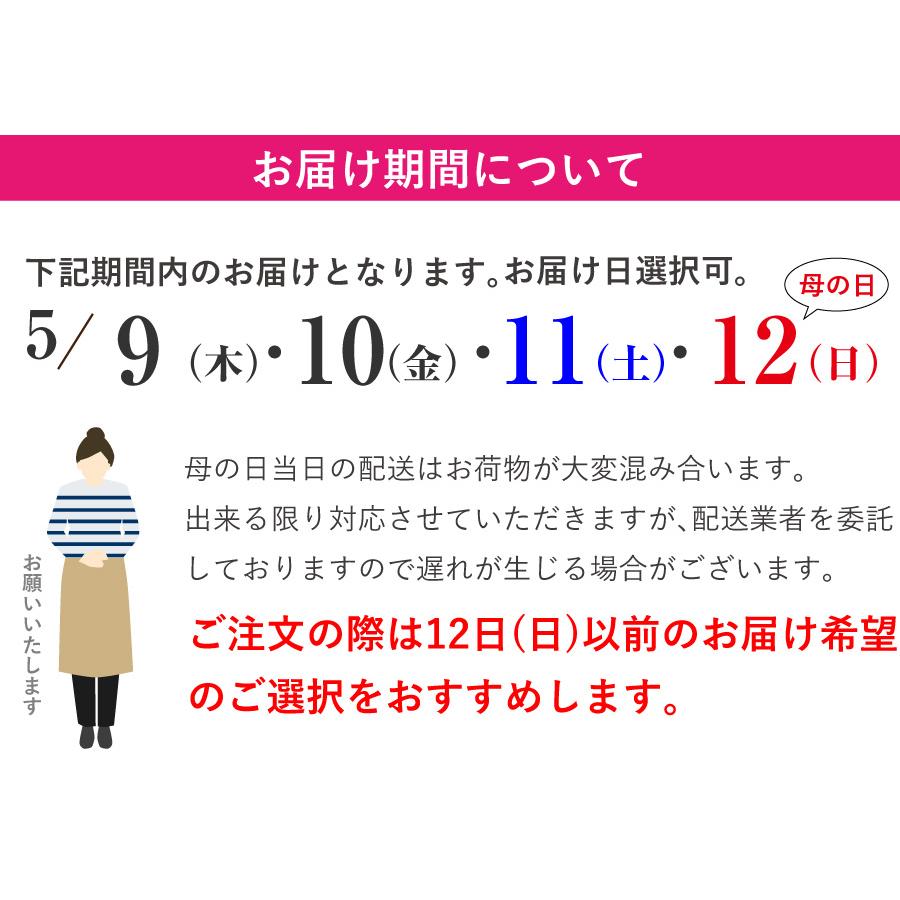 遅れてごめんね 母の日 鉢花 カーネーション プレゼント フラワーギフト 2024 産地直送  おまかせカーネーションの鉢植え 5号鉢｜flower｜08