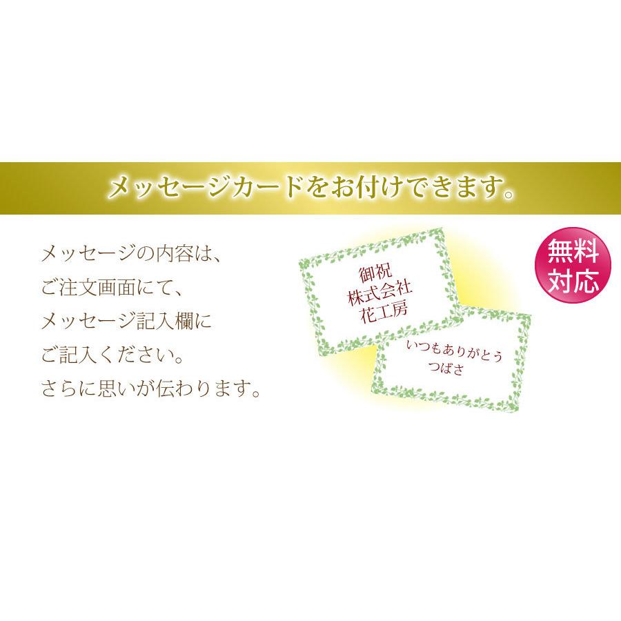 ミディ胡蝶蘭 ゴールデンマンボ 3本立 誕生日花 転勤花 退職花 昇進花 昇格花 栄転花 就任祝い花 花持ちが良い 送料無料 花 ギフト ミニ胡蝶蘭 松村洋蘭 Hc Phalaeno Gm 花束ギフト花工房 誕生日翌日配達 通販 Yahoo ショッピング