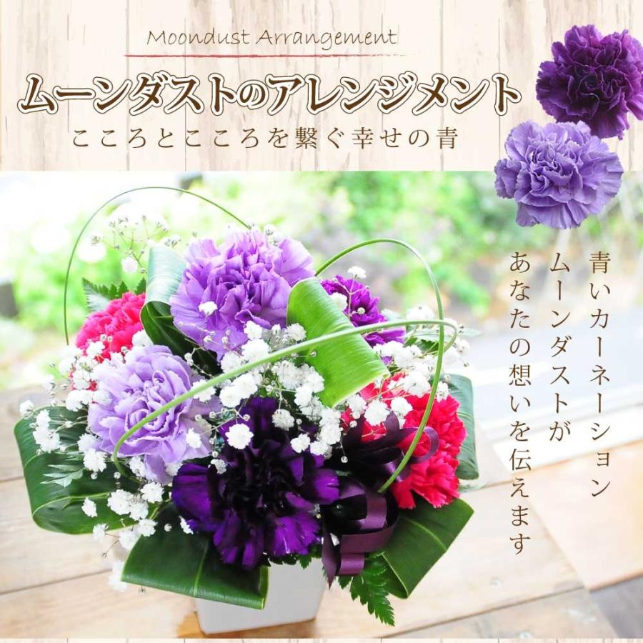 誕生日 記念日 花 ギフト プレゼント 花贈る プレゼント 贈り物 青いカーネーション ムーンダストアレンジメント フラワーギフト 古希 Md Moondust 花束ギフト花工房 誕生日翌日配達 通販 Yahoo ショッピング