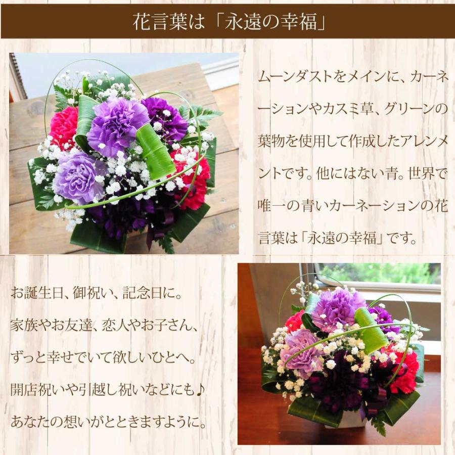 誕生日プレゼント 花 送料無料 還暦祝い 古希 喜寿 卒寿 お祝い 記念日 プレゼント 退職祝い 長寿のお祝い 宅配 花 ムーンダスト アレンジメント Md Moondust 花束ギフト花工房 誕生日翌日配達 通販 Yahoo ショッピング