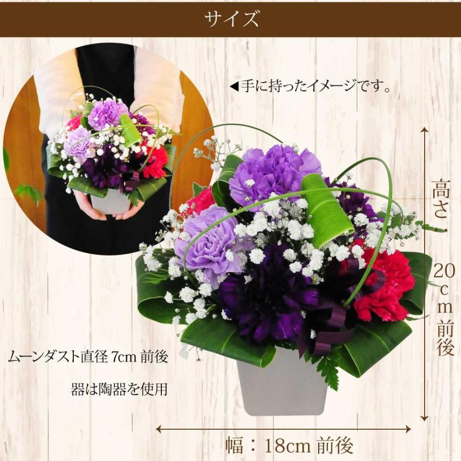 エーデルワイス花の贈り物 母の日 2026 花 ギフト ムーンダスト