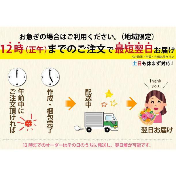 喪中はがきが届いたら お供え 花 贈る 供花 仏壇 フラワーアレンジメント お悔やみの花 三回忌 四十九日 一周忌 命日 法事 法要 デザイナーズ お供えアレンジ 3L 喪中はがきが届いたら お供え 供花 フラワーアレンジメント 三回忌 四十九日 一周忌 命日 法事 法要