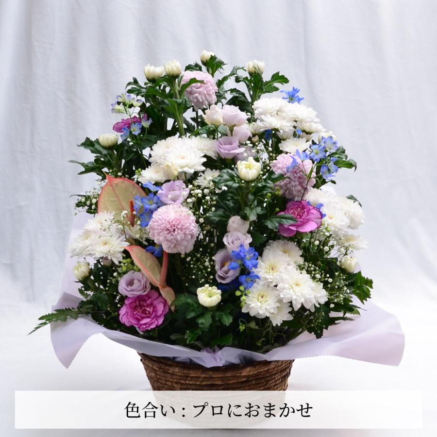 エーデルワイス花の贈り物 春のお彼岸 お供え 花 贈る 供花 フラワー