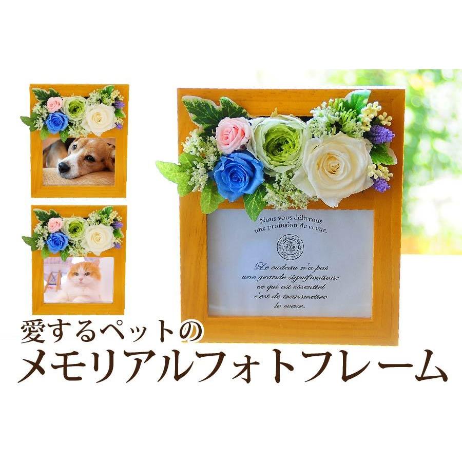 お供え 花 プリザーブドフラワー 命日 ブリザードフラワー エーデルワイス お彼岸 愛するペットのメモリアルフォトフレーム 喪中見舞い Pf Petpf 花束ギフト花工房 誕生日翌日配達 通販 Yahoo ショッピング